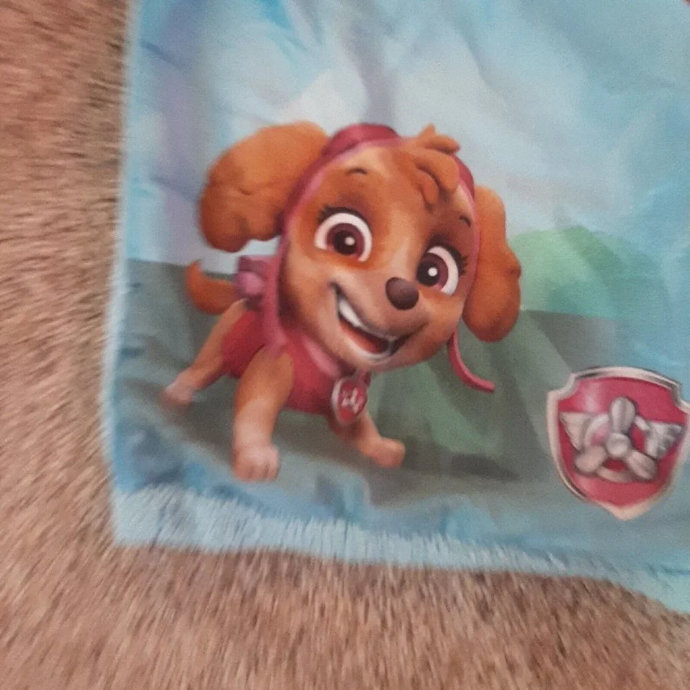 Kids Terry Hooded Towel Blanket Paw Patrol